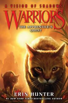 The Apprentice's Quest The Apprentice's Quest