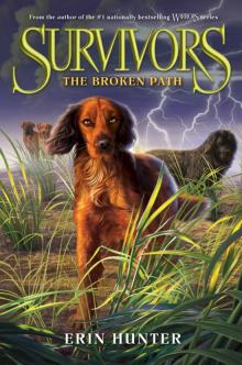 The Broken Path The Broken Path