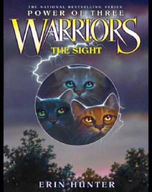 The Sight The Sight