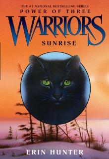 Warriors: Power of Three 06 - Sunrise