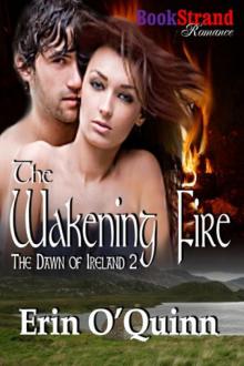 The Wakening Fire [The Dawn of Ireland 2]