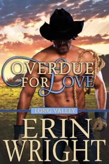 Overdue for Love - A Long Valley Romance: Country Western Small Town Romance Novella
