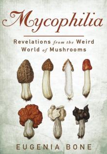 Mycophilia Mycophilia