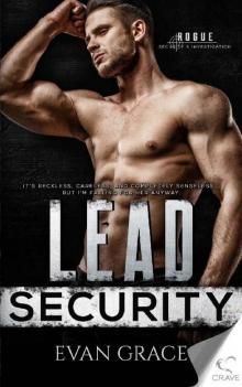 Lead Security (Rouge Security & Investigation Book 3)