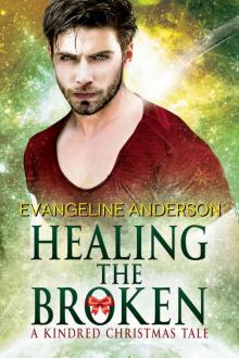 Healing the Broken: A Kindred Christmas Tale (Brides of the Kindred)