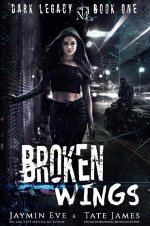 Broken Wings: Dark Legacy book 1 Broken Wings: Dark Legacy book 1