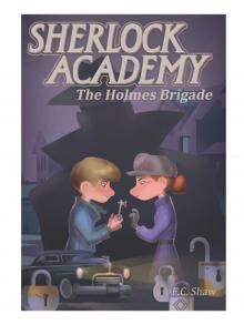The Holmes Brigade The Holmes Brigade