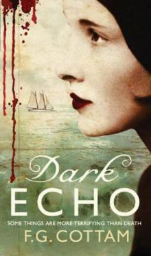 Dark Echo Dark Echo