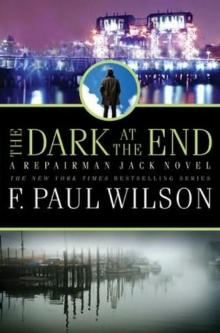 The Dark at the End rj-15 The Dark at the End rj-15