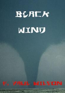 TSHOFW 02 - Black Wind