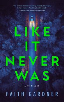 Like It Never Was: A thriller