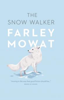 The Snow Walker