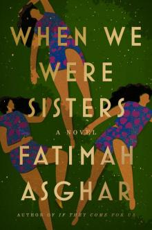 When We Were Sisters: a Novel When We Were Sisters: a Novel