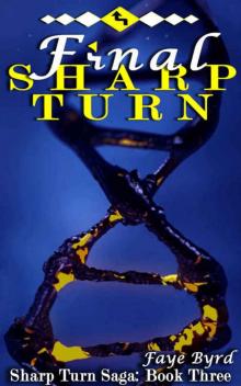 Final Sharp Turn (Sharp Turn Saga #3)