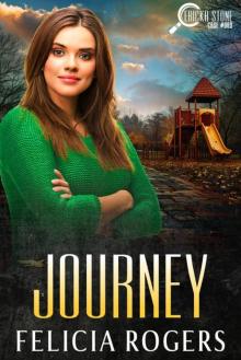 Journey, Ericka Stone Case #009