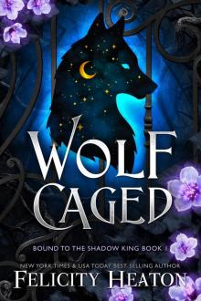 Wolf Caged: An enemies-to-lovers rejected mate fae / shifter romantasy