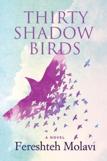 Thirty Shadow Birds