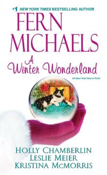 A Winter Wonderland A Winter Wonderland