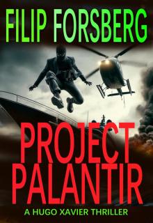 Project Palantir