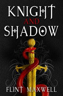 Knight and Shadow Knight and Shadow
