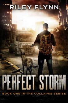 The Collapse Series (Book 1): Perfect Storm