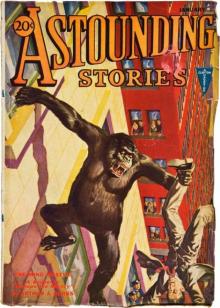 The Seed of the Toc-Toc Birds The Seed of the Toc-Toc Birds