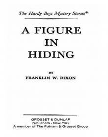 A Figure in Hiding