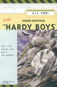 Hidden Mountain