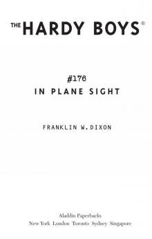 In Plane Sight In Plane Sight