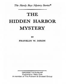 The Hidden Harbor Mystery