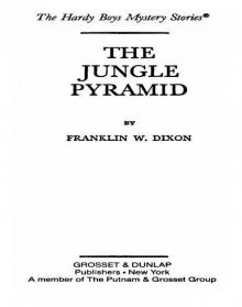 The Jungle Pyramid