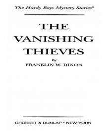 The Vanishing Thieves