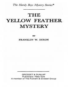 The Yellow Feather Mystery