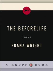 The Beforelife The Beforelife