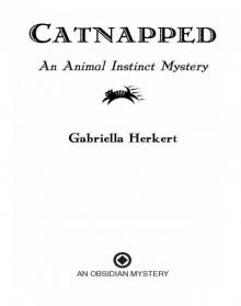 Catnapped Catnapped