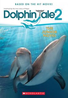Dolphin Tale 2 Dolphin Tale 2