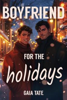 Boyfriend for the Holidays: MM Short Story Romance
