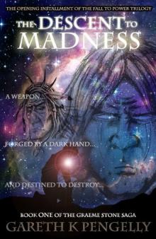 The Descent to Madness (The Graeme Stone Saga) The Descent to Madness (The Graeme Stone Saga)