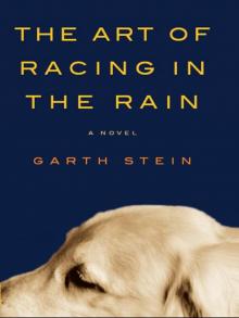 Art of Racing in the Rain, The