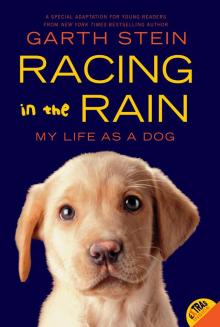 Racing in the Rain Racing in the Rain