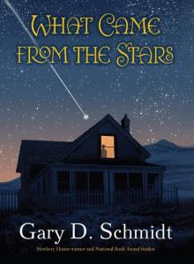 What Came From the Stars What Came From the Stars