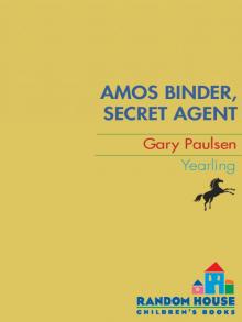Amos Binder, Secret Agent Amos Binder, Secret Agent