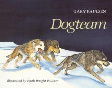 Dogteam Dogteam