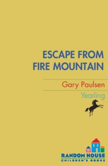 Escape from Fire Mountain Escape from Fire Mountain