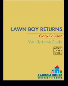 Lawn Boy Returns