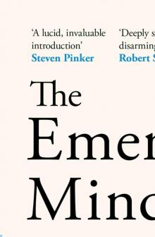 The Emergent Mind