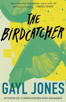 The Birdcatcher The Birdcatcher
