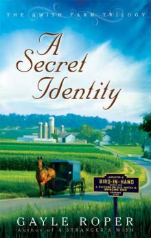 A Secret Identity (The Amish Farm Trilogy 2) A Secret Identity (The Amish Farm Trilogy 2)