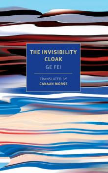 The Invisibility Cloak The Invisibility Cloak