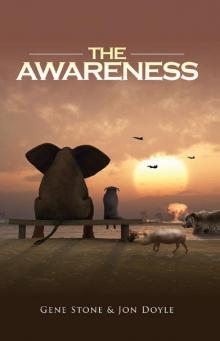 The Awareness The Awareness